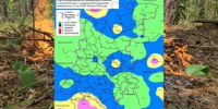 Сводка пожароопасности на 19.06.2026 - Министерство лесного хозяйства