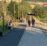 В субботу в Мурманской области – до 20° - SeverPost.ru