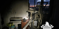 Пожарные Леноблпожспаса тушили девять возгораний за сутки - SyasNews.Ru