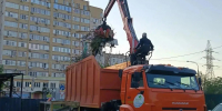 Чиновника в Астрахани оштрафовали за волокиту с уборкой мусора - Ast-News.Ru