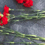 В Оренбурге пройдут памятные мероприятия ко Дню памяти и скорби - ProOren.Ru