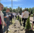 В Брянске выпускники техникума заложили Аллею выпускников - БрянскToday.Ru