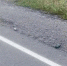 ВСУ сбросили взрывоопасное устройство на трассу в ЛНР - M24.Ru
