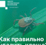 _rUTbyujjw2A5bkxSQG1P-u-UzFx_KKI7mt_9KGgB0BZ6upL8MKGbdWZL2vA6Nv8jMd3Hv5NGeHqHN9Li4Ob4ZwI.jpg?quality=95&as=32x32,48x48,72x72,108x108,160x160,240x240,360x360,480x480,540x540,640x640,720x720,1080x1080&from=bu&u=VowIExFnOhoxzduy3uWUR9ATcjmw9yUddsH-MG4Xyzg&cs=640x0 - Великоустюгский муниципальный округ