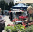 В Брянске вновь проходит традиционная сельскохозяйственная ярмарка выходного дня - РИА Стрела