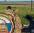 cropped_image-73 - Novosti-Saratova.Ru