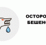 Осторожно -бешенство!. - Администрация г. Ессентуки