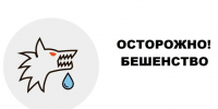 Осторожно -бешенство!. - Администрация г. Ессентуки