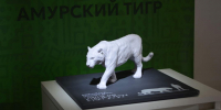 В Пермском зоопарке открыли тактильный музей для слепых и слабовидящих - V-Kurse.Ru