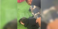 Дело об убийстве и покушении на убийство возбуждено после ЧП в краснодарском ТЦ - M24.Ru