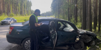 15-летний водитель без прав врезался в дерево в Екатеринбурге, пострадала пассажирка - Четвертый канал