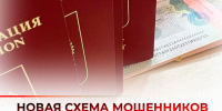 Появилась новая схема мошенничества с псевдопомощью в оформлении виз и сопутствующих услуг. - Администрация Белгородского района