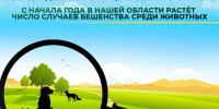 Уважаемые жители Белгородского муниципального округа!. - Администрация Белгородского района