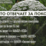 Мурманчан предупредили об опасности 4-метровых гигантов: как в городе будут бороться с борщевиком - ИА Nord-News.Ru