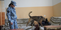 JPG Файл - УМВД Приморского края 