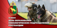 Генерал-полковник Иван Шмелев поздравил кинологов Росгвардии с профессиональным праздником - Росгвардия