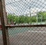 img - ЛДПР