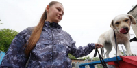 «Должен быть живой интерес»: как четвероногие сотрудники обеспечивают безопасность Кольцово - EaNews.Ru