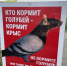 «Пир во дворе Сатки»: как добрый жест может обернуться эпидемией? - GovoritSatka.Ru