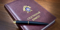 В Бузулуке индивидуальный предприниматель подозревается в неуплате налогов - Следственный комитет