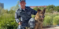 В Новосибирске служебный пёс Ромул помог найти похитителя золотых украшений - Precedent.TV