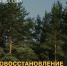Тверская область заняла второе место среди регионов ЦФО по лесовосстановлению по итогам 2025 года - GorodTorzhok.Ru