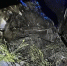 Фото: max.ru/id5610036776_gos/AZ7owu3eZ9Y - Ямал-Медиа