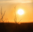 Фото: ПАИ - InformPskov.Ru