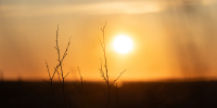 Фото: ПАИ - InformPskov.Ru