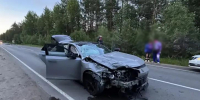 JPG Файл - УМВД Архангельской области