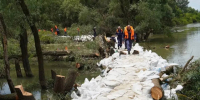 В Крымском районе начато строительство дороги для ликвидации прорыва дамбы - KrasnodarMedia