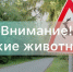 Правила безопасности: как вести себя при встрече с дикими животными. - Каратузский район