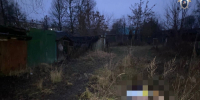 Нижегородцу вынесли приговор за зверское убийство женщины на улице - фото 1 - vGorodeN.Ru