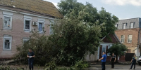 На улице Адмиралтейской Астрахани из-за сильного ветра рухнуло дерево - Astrakhanpost.Ru