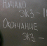 Стобалльница по литературе из Великих Лук рассказала о своей подготовке к ЕГЭ - Pln-Pskov.Ru