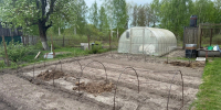 Миска этой крупы вместо 10 килограмм навоза: рассыпаю по огороду — и почва становится мягкой и плодородной - PRO Город Владимир