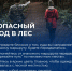Рекомендации любителям тихой охоты - МЧС Псковской области