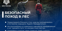 Рекомендации любителям тихой охоты - МЧС Псковской области