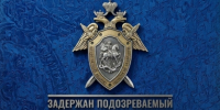 В Константиновском районе за причинение тяжкого вреда здоровью, повлекшего смерть мужчины, задержан местный житель - Следственный комитет