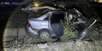Под Орском Ford врезался в лошадь: водитель и пассажир погибли - Газета Оренбуржье