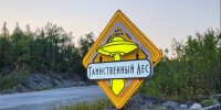«Таинственный лес» объявил дату открытия летнего сезона - SeverPost.ru