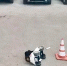 Двухлетний ребёнок оказался под колёсами кроссовера Nissan Juke во дворе дома в Новосибирске - Baikal24.Ru
