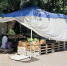 m9vtuq17g4f1y4yxwwjo2w7bp1x3u1cg - Novosti-Saratova.Ru