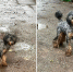wx4sa7c4h5wsw11pnorknkjs0eh0qo6c - Novosti-Saratova.Ru
