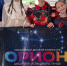 Великий Новгород - большие победы! - Michurinsk68.Ru