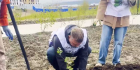 Сталинградский «Тополь Победы» высадили в Магадане - Газета Магаданская правда