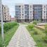 🏡 Квартира бизнес-класса рядом с Иркутском — доступнее, чем вы думаете - ИА Тайшет24