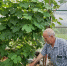 7bae60bc-51f1-4803-9588-59811a73886d - Институт развития образования