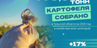За год в Тульской области сбор картофеля увеличился на 17% - ТК Первый Тульский