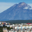 Фото: Alexander Piragis/Shutterstock/Fotodom - Ямал-Медиа